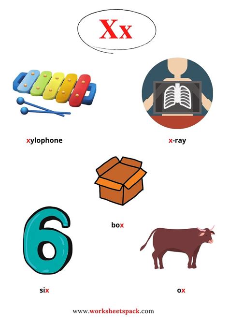 letter x words for kindergarten